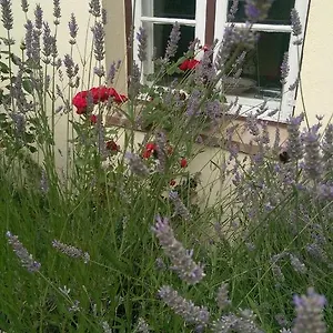 Im Einhornhaus Apartment Lubeck
